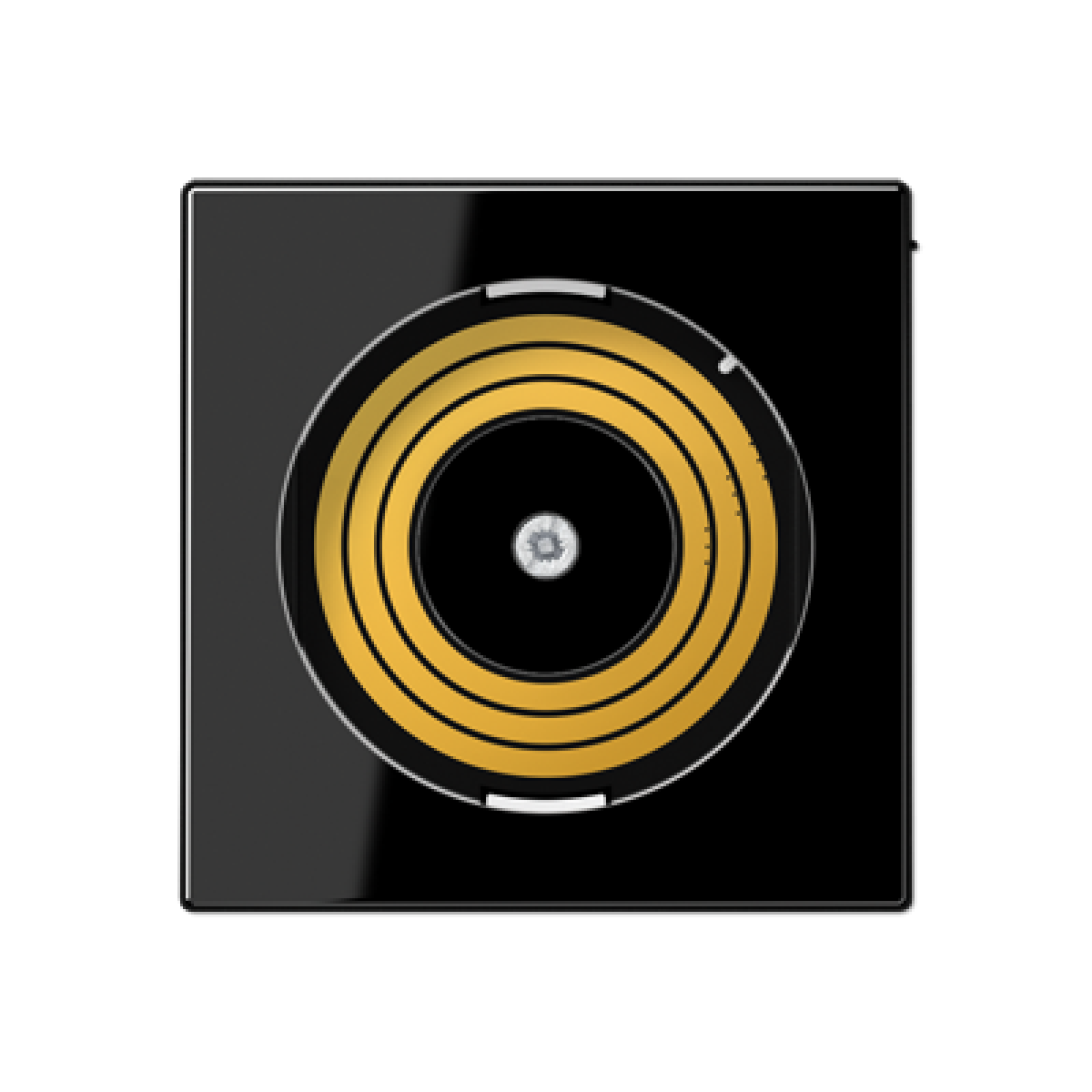 Placa central P&L. A negro