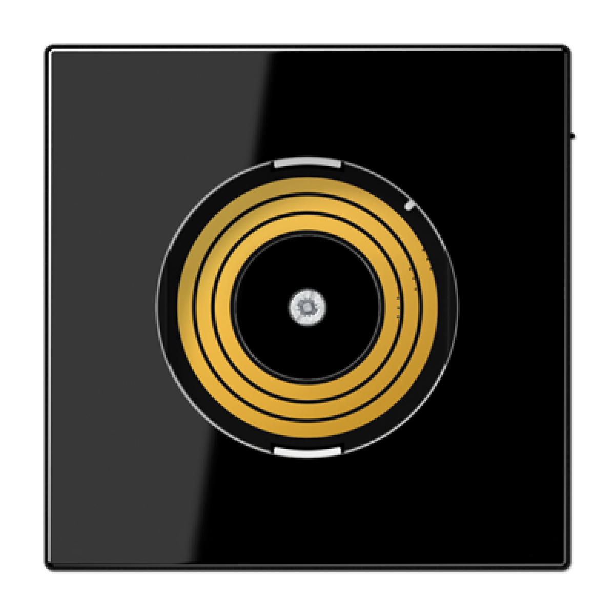 Placa central P&L. LS negro