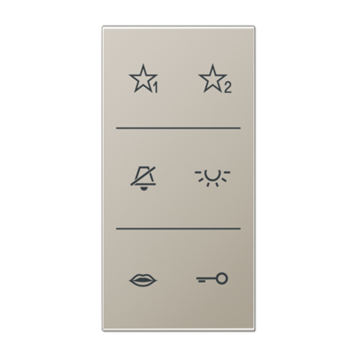 Placa con símbolos audio LS acero