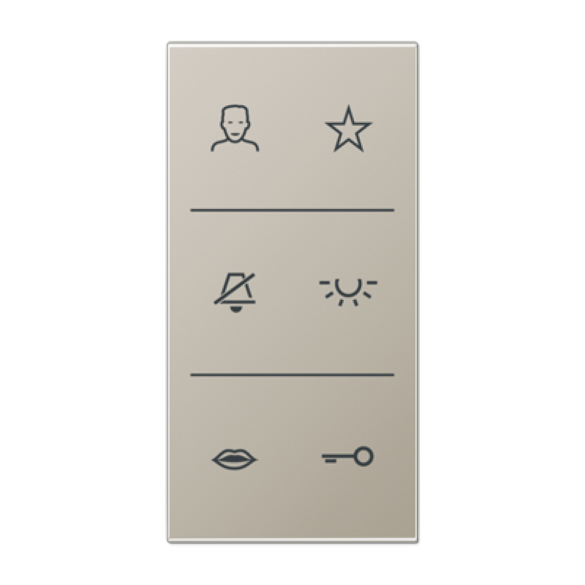 Placa con símbolos video. LS acero