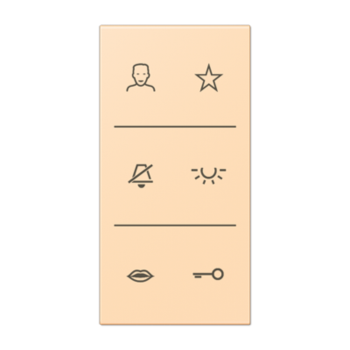 Placa con símbolos de video LC32060