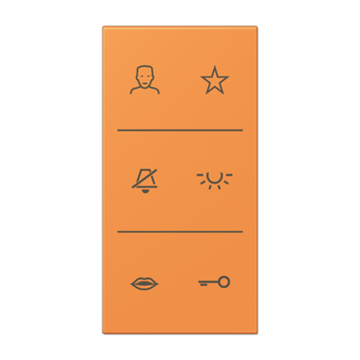 Placa con símbolos de video LC32081