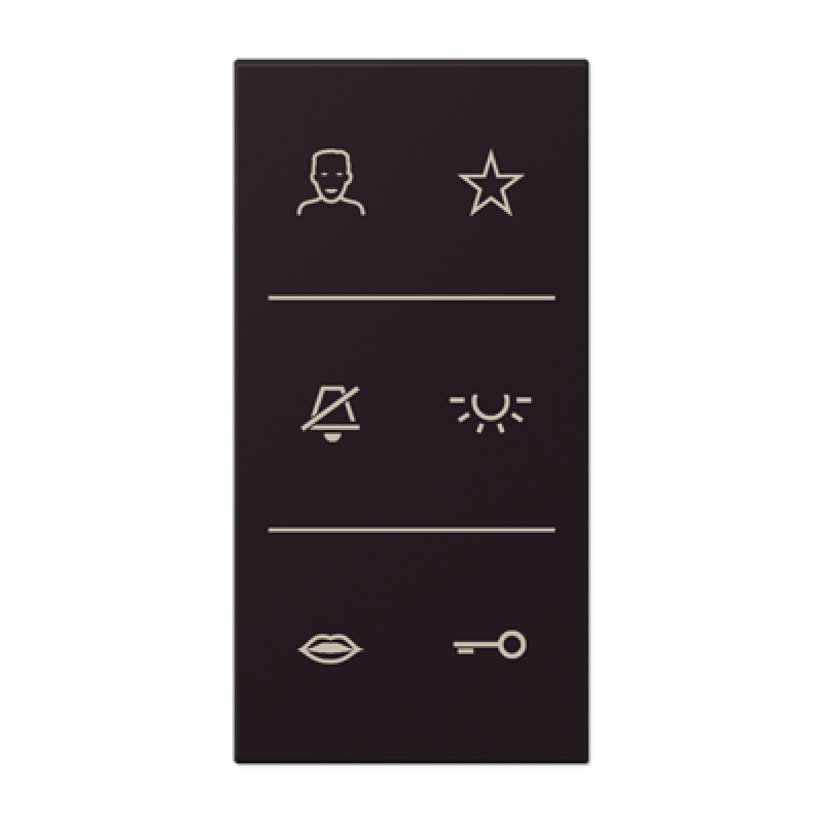 Placa con símbolos de video LC4320E