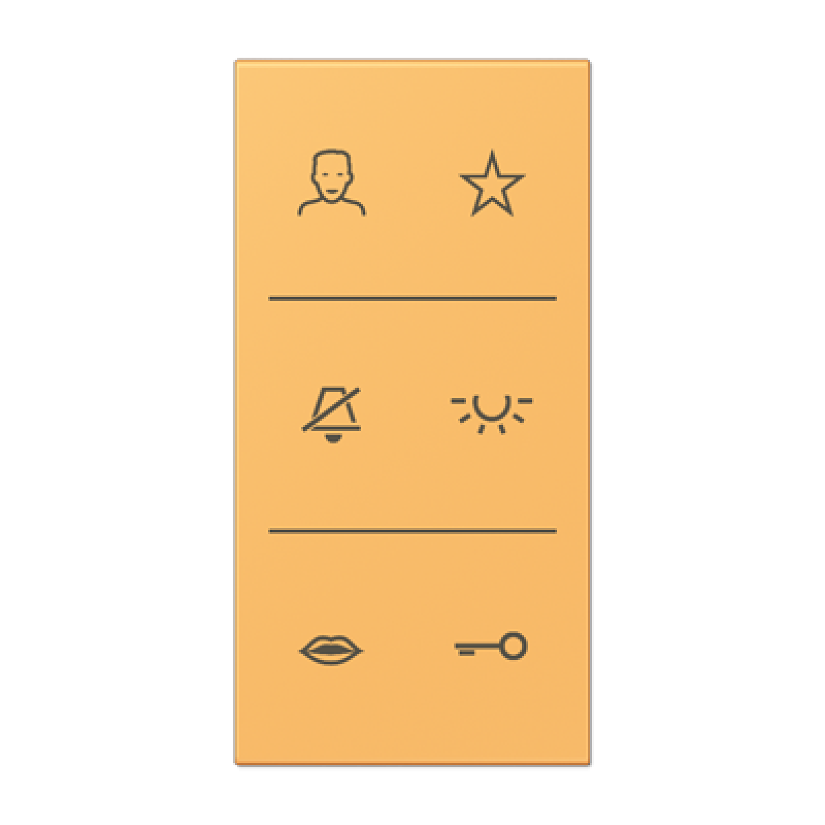 Placa con símbolos de video LC4320L