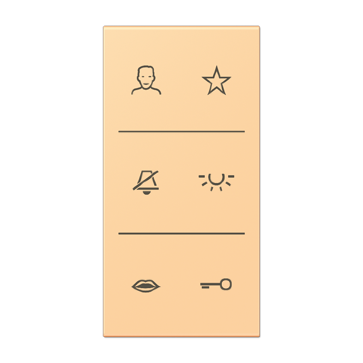 Placa con símbolos de video LC4320P