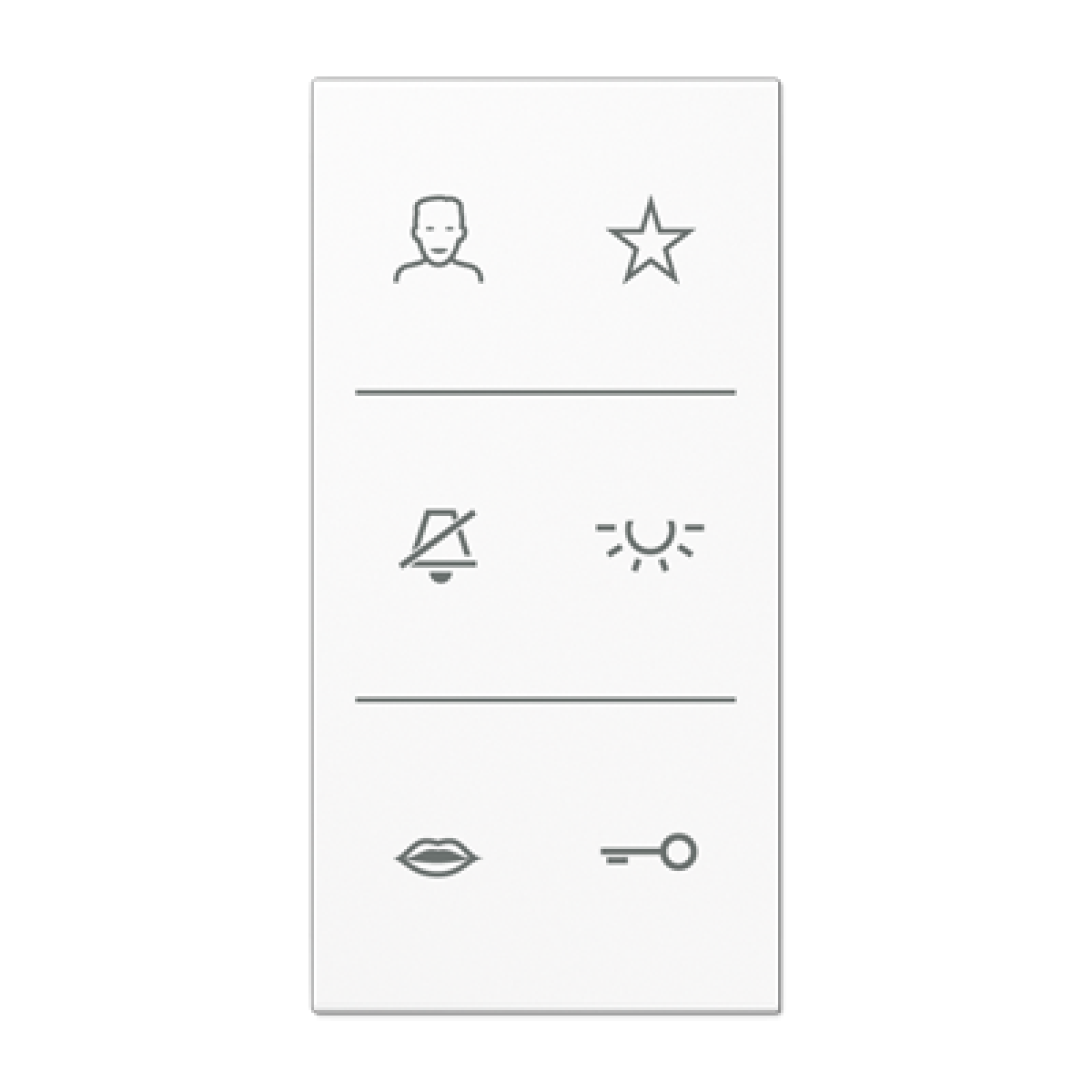 Placa con símbolos video. LS bl. alpi