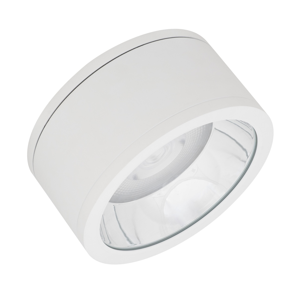 DOWNLIGHT SURFACE IP65 DN 250 P 45W 830 60D WT