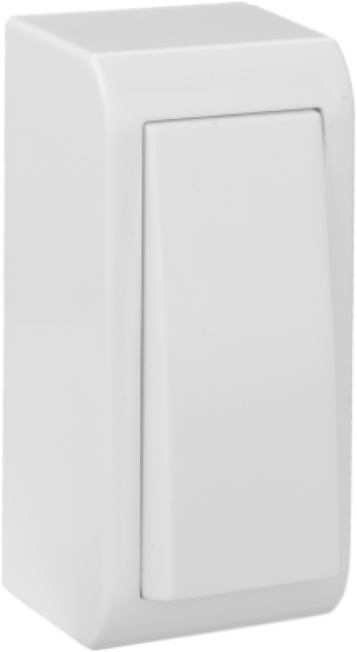 Narrow switch / rocker switch 10AX 250V ~. Surface-mounted.