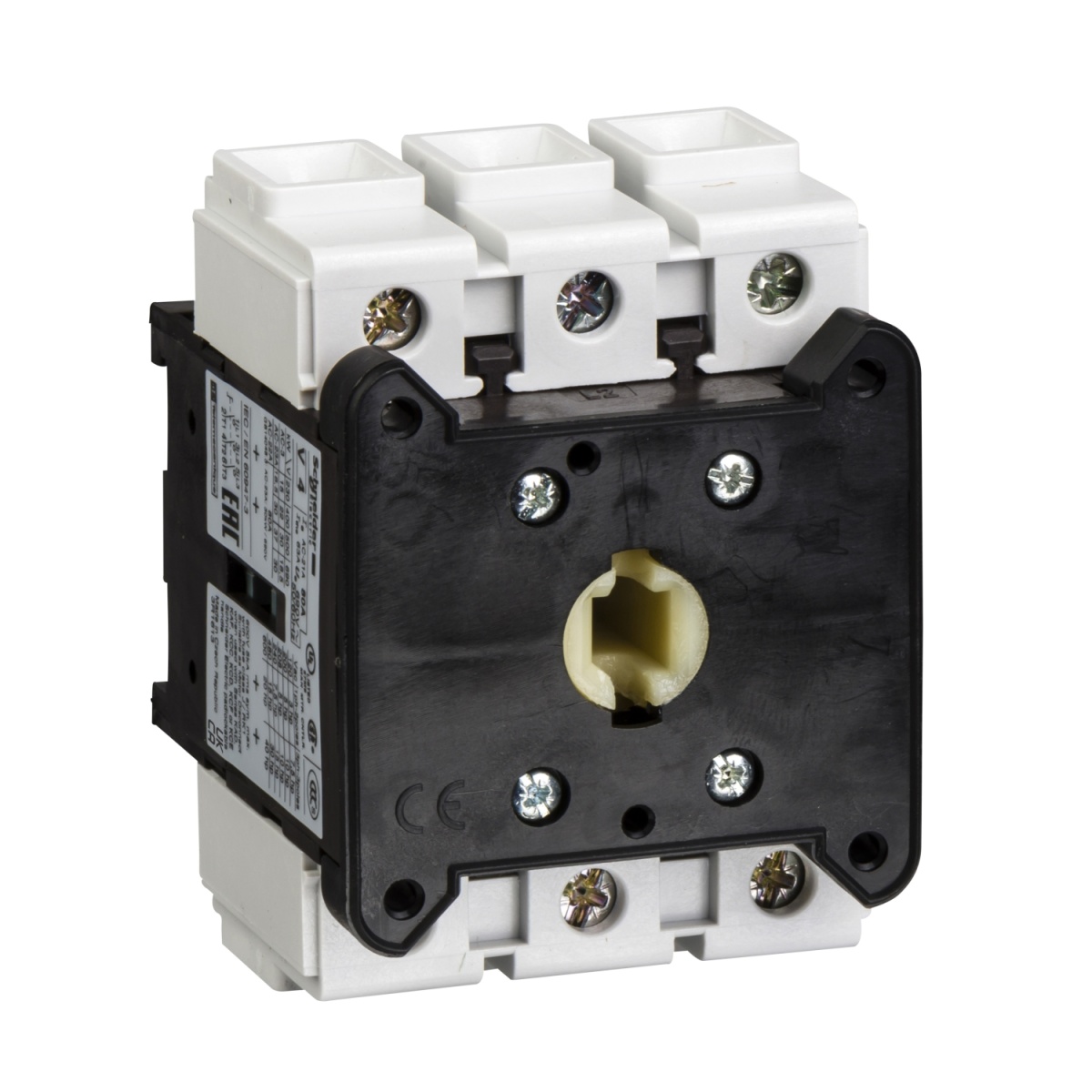 Interruptor seccionador 3P 125A