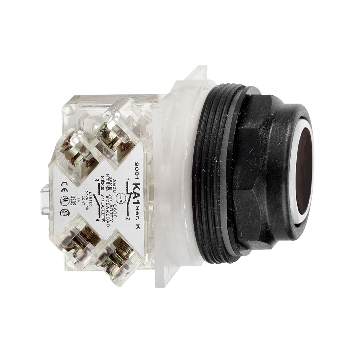 PUSHBUTTON 600VAC 10AMP 30MM SK OPTIONS