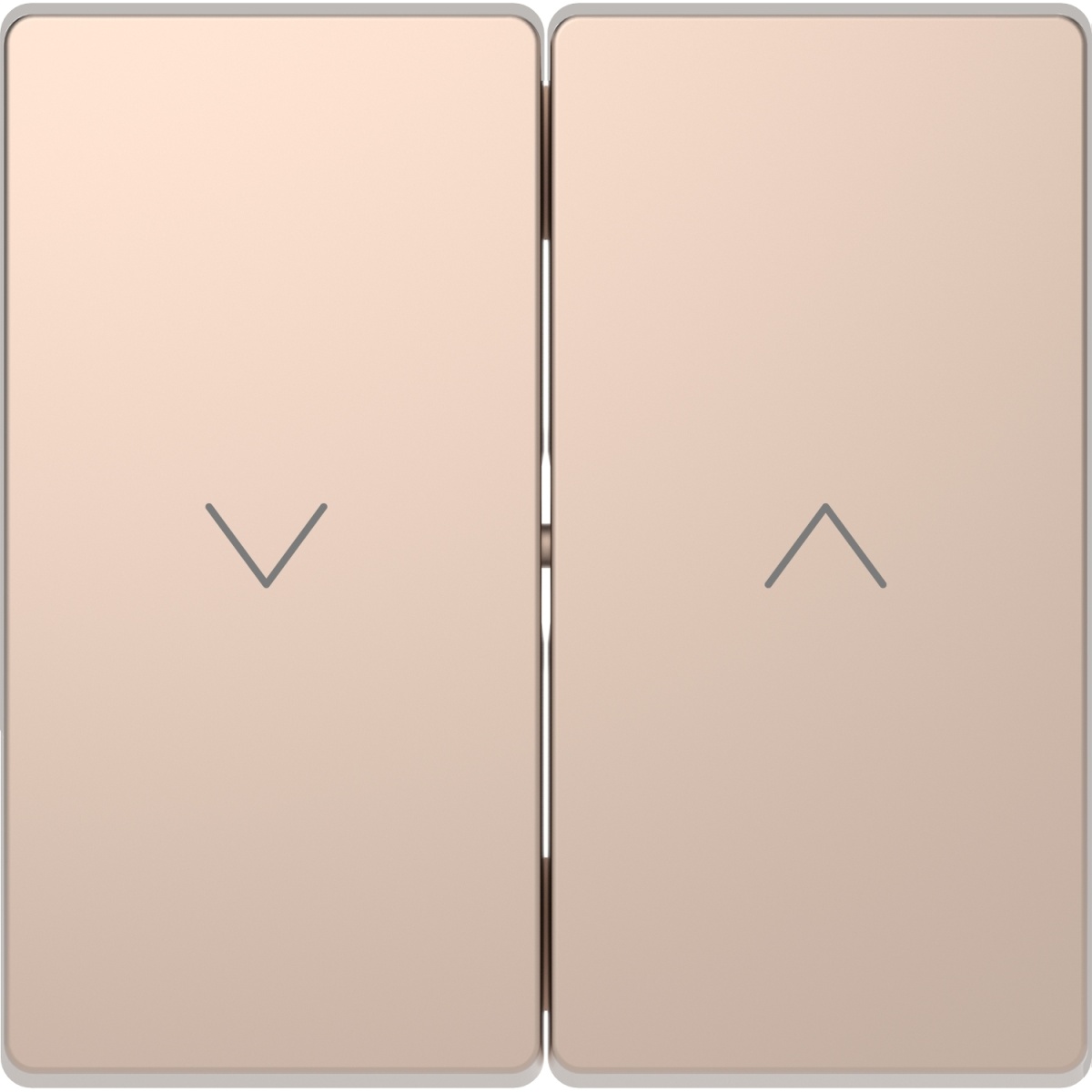 D-Life - Tecla para comandos de estores - Metal champanhe