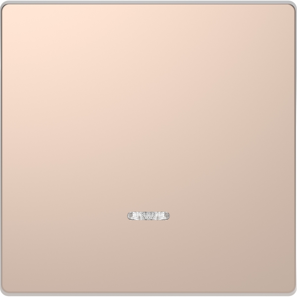 D-Life - Tecla com visor - Metal champanhe