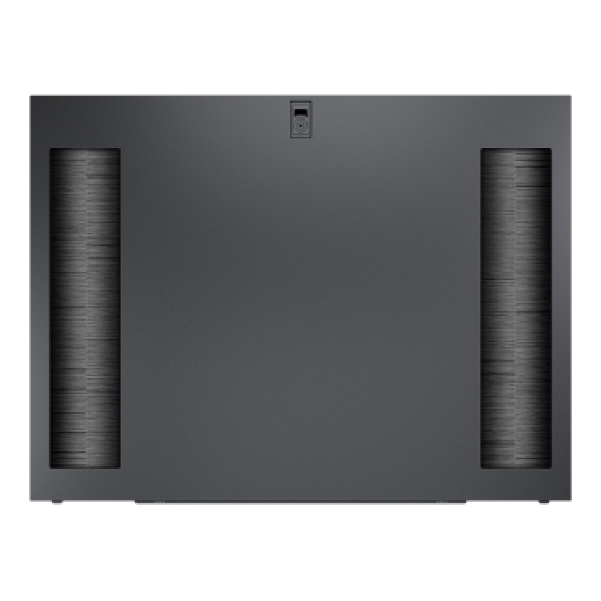 Alimentação Bipartida Através de Painéis Laterais NetShelter SX 42U 1070mm em Preto, Qtd. 2