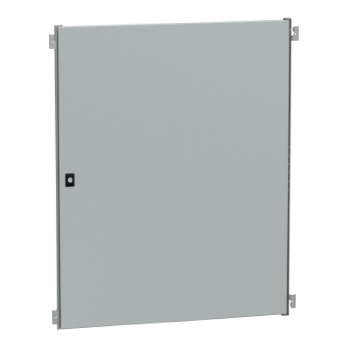 Internal door for Spacial WM encl.H1000xW800 steel, RAL7035.Adjustable in depth