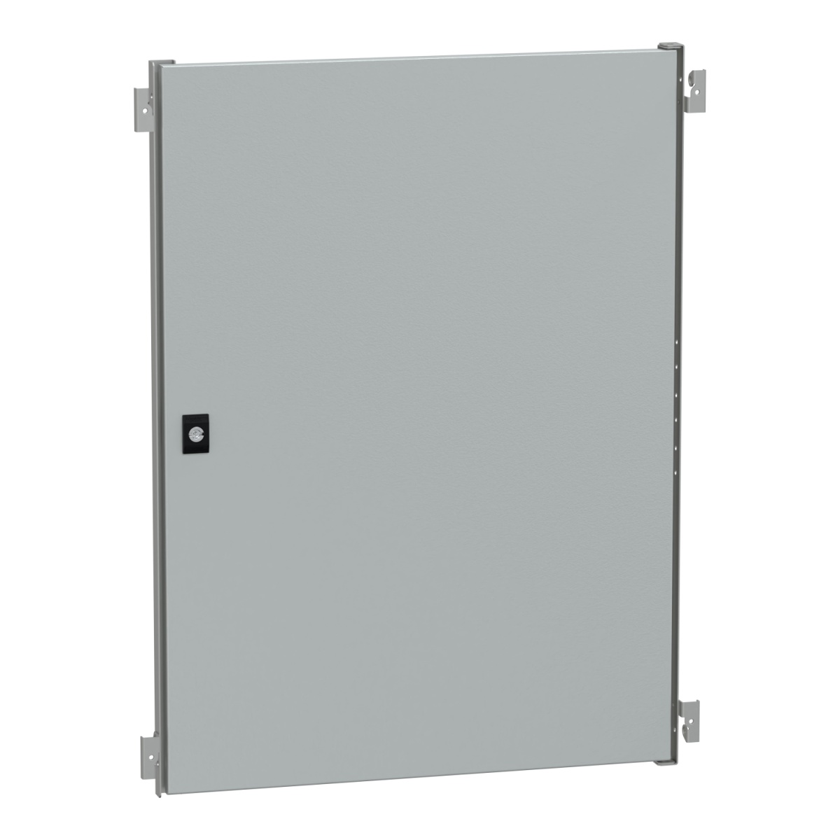 Internal door for Spacial WM encl. H800xW600 steel, RAL7035.Adjustable in depth