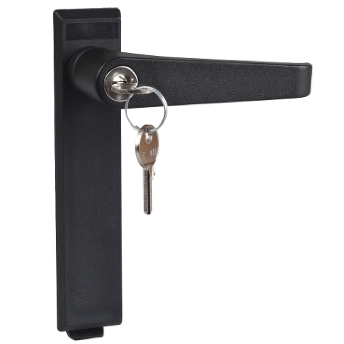 Lock for Spacial CRNG enclosure - Handle lock operated using key 405 2