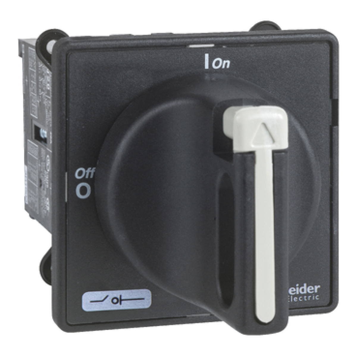 TeSys Mini-Vario - switch disconnector - 12 A - on door