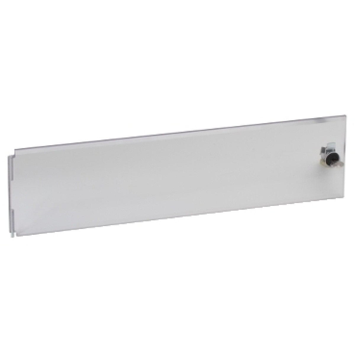 Exiway Power Control Pico - transparent lockable cover plate