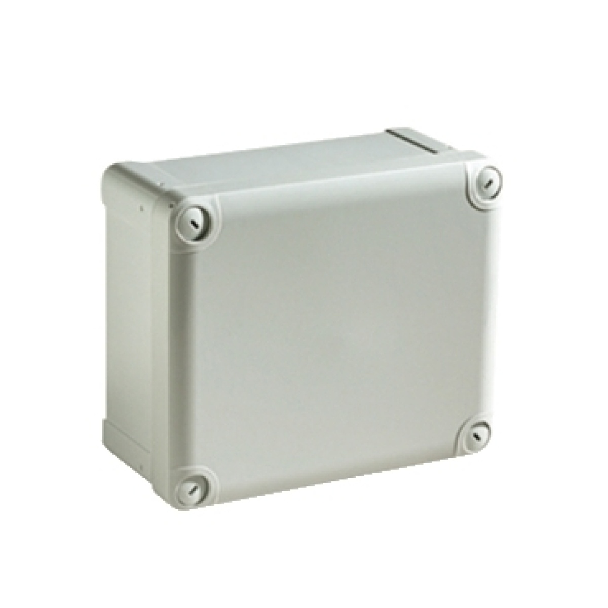 ABS box IP66 IK07 RAL7035 Int.H225W175D100 Ext.H241W194D105 Opaque cover H20