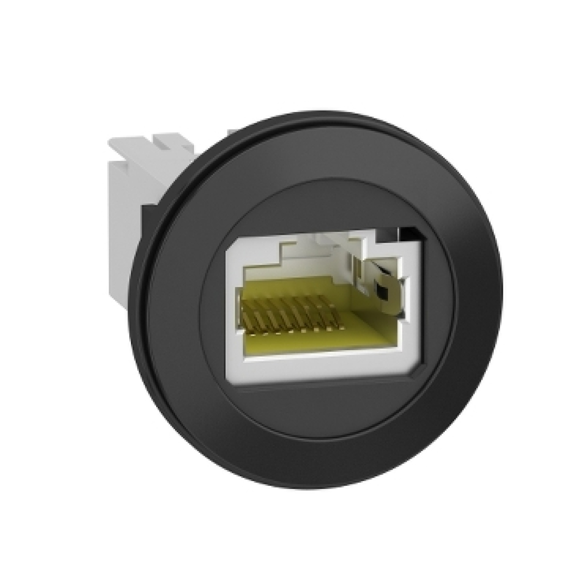 Conexão ethernet porta rj45