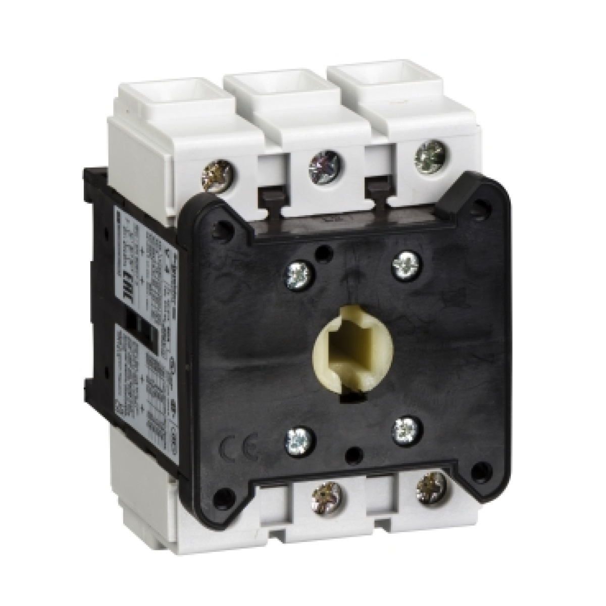 Interruptor seccionador 3P 80A