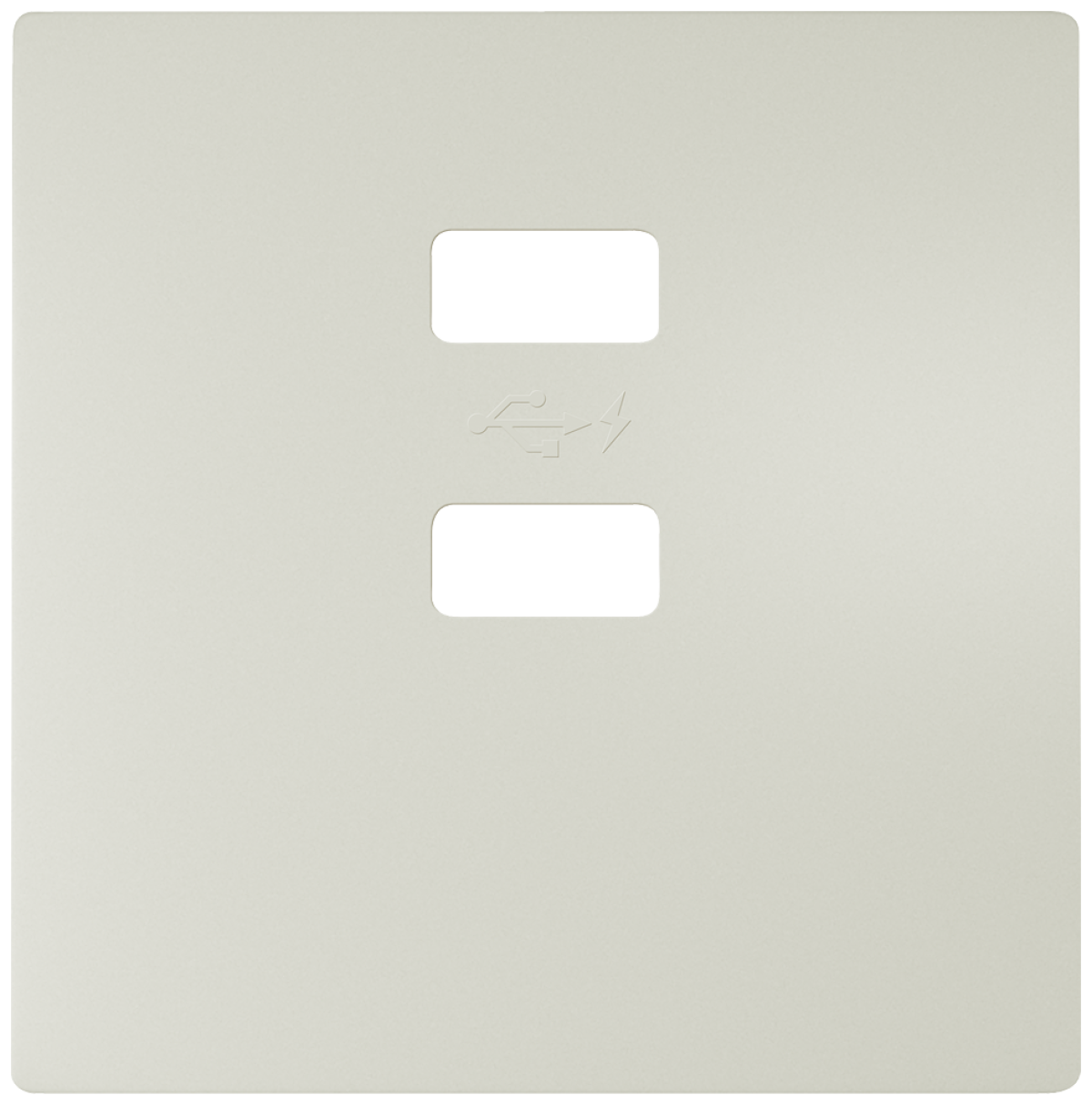 DELTA style cover plate for double USB charger vertical, titanium white