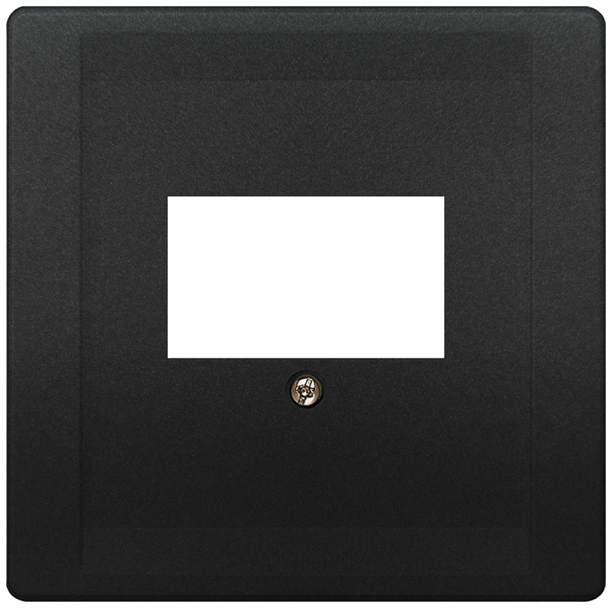 DELTA style cover plate for TAEloudspeaker multimedia connections, anthracite