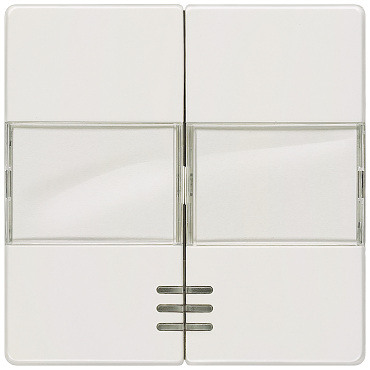 DELTA i-system rocker double with labeling field and window for two-circuit s...