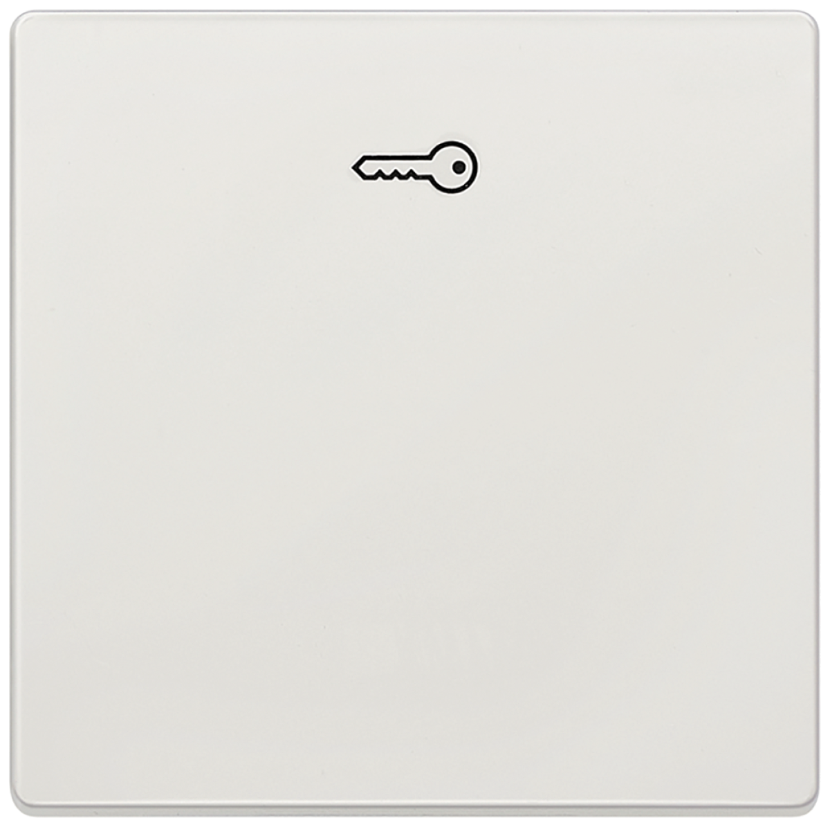 DELTA style rocker with door opener symbol, platinum metallic