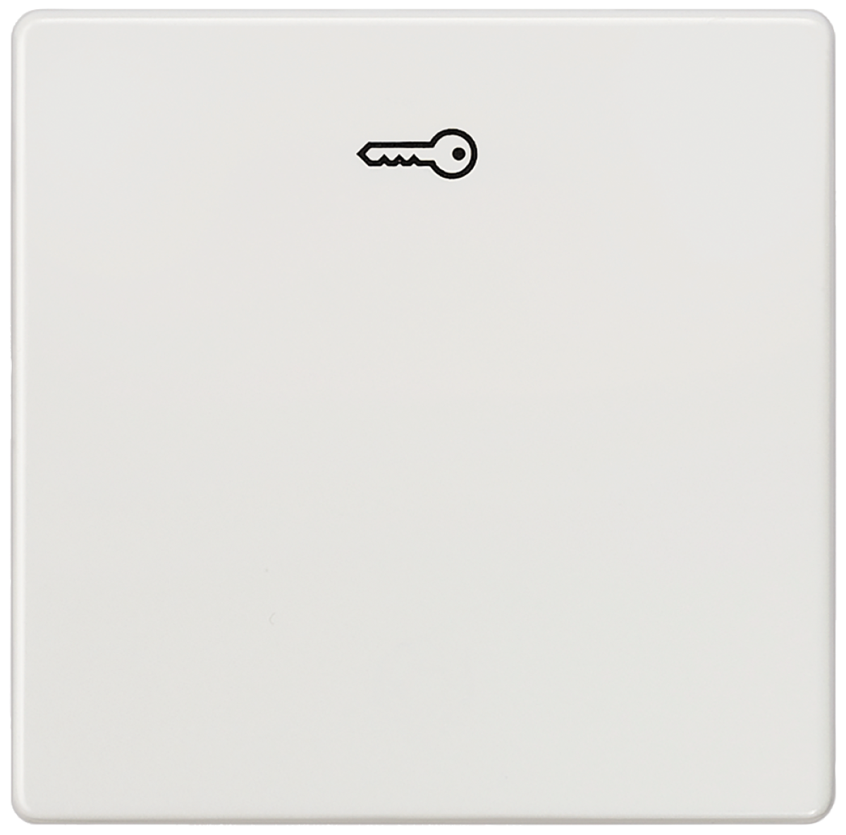 DELTA i-system rocker with door opener symbol, titanium white