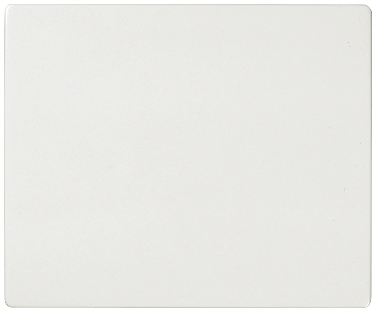 IRIS Rocker switch polar white