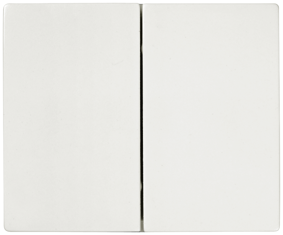 IRIS Rocker switch 2-fold polar white