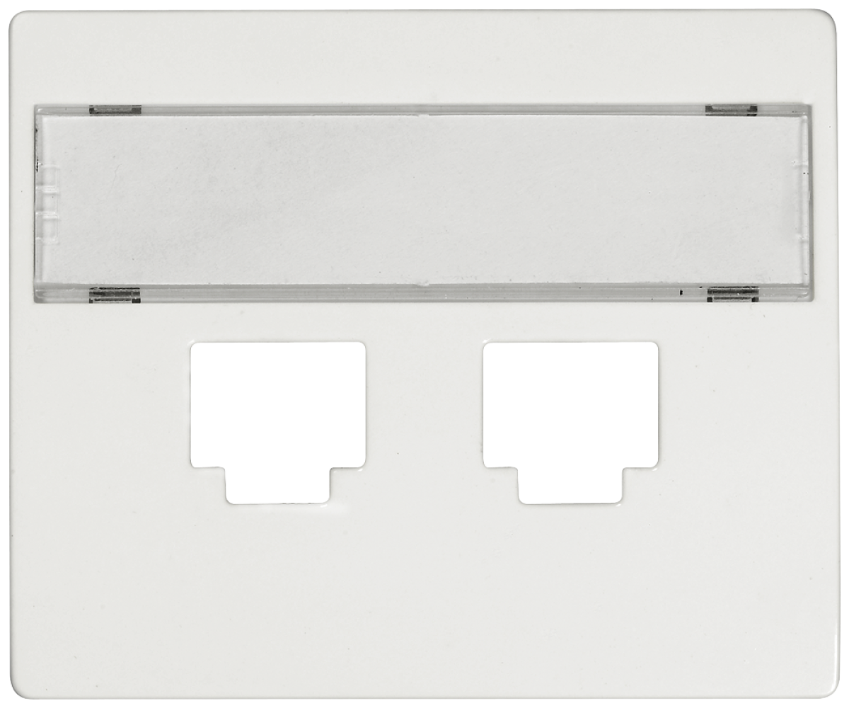 IRIS Cover plate can be labeled for Adapter 2-fold RJ11, 45 polar white