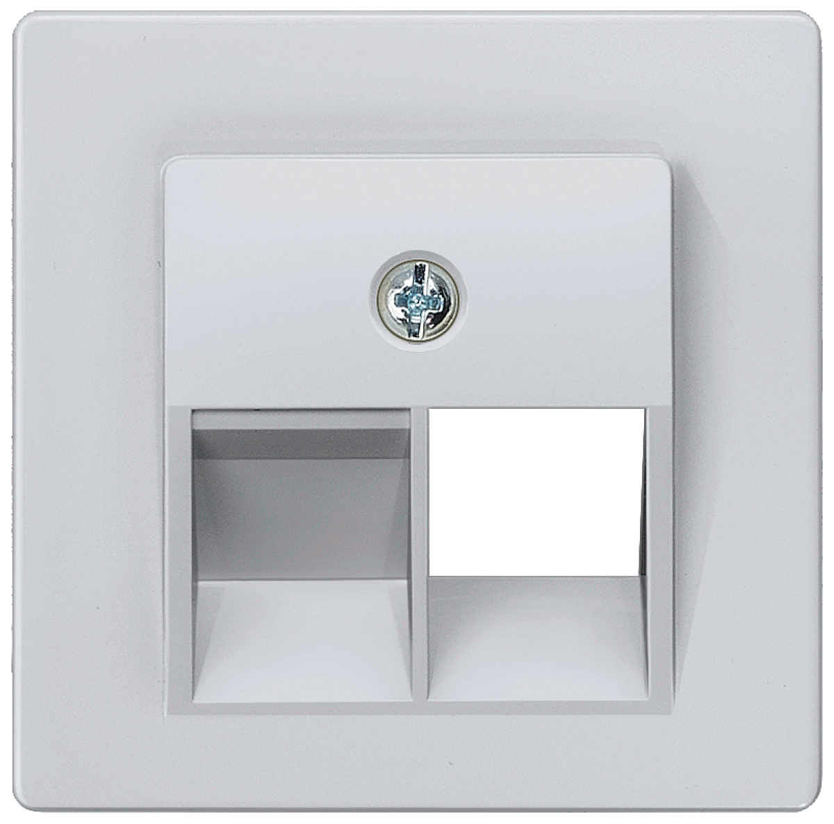 DELTA i-system cover plate for UAE connection socket Cat.3, single, aluminum ...