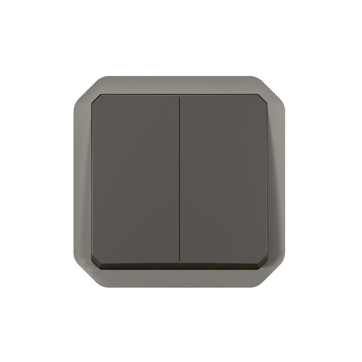 Plexo IP 55 componível - Comando multifunções duplas, Antracite