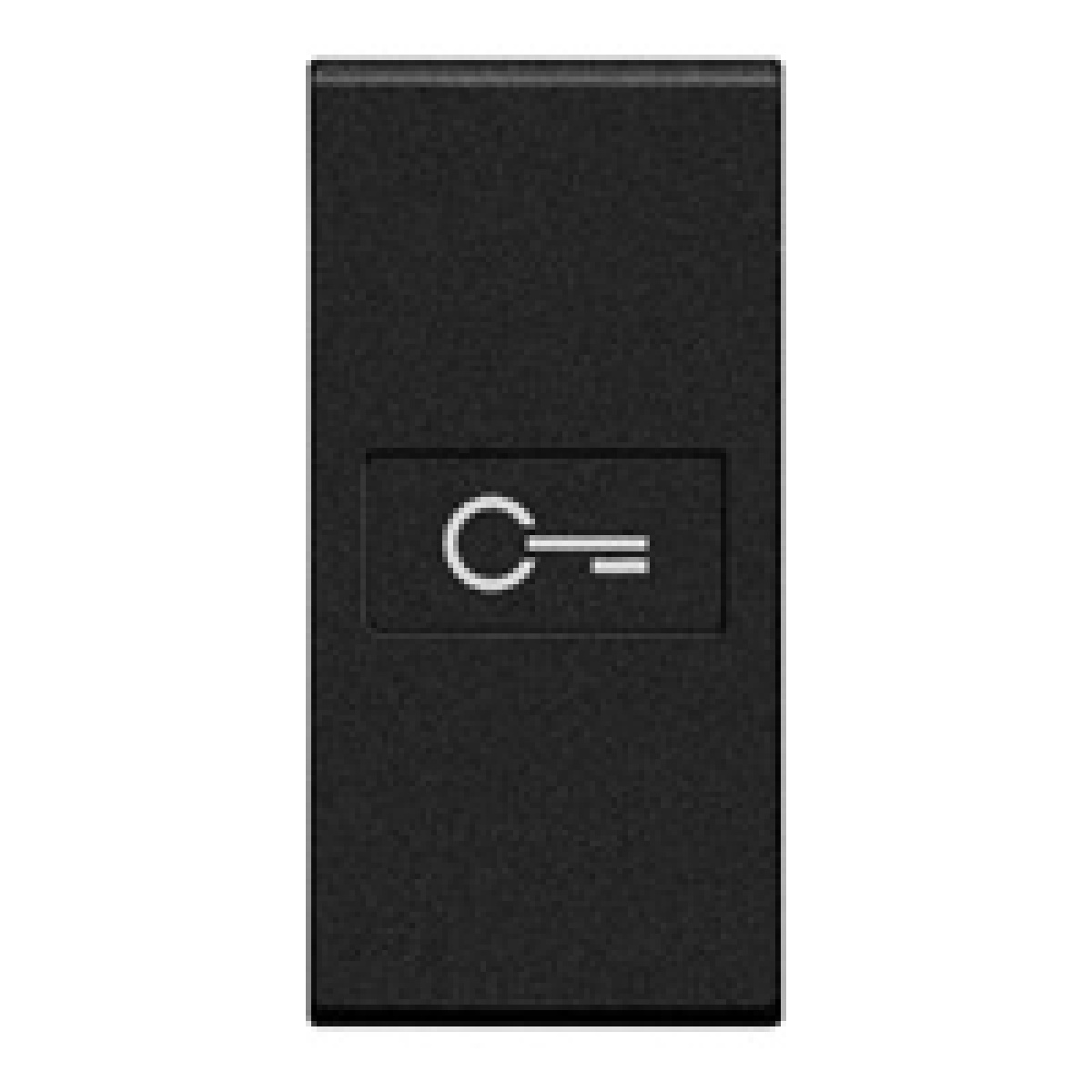 Livinglight - Tecla axial com símbolo Chave - Antracite, 1 módulo