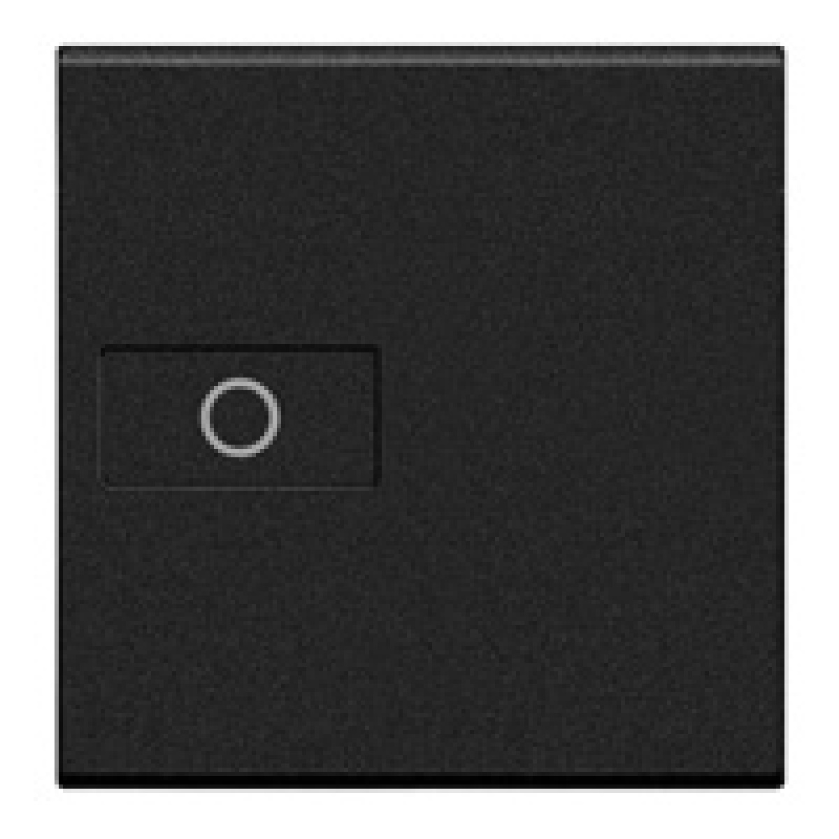 Livinglight - Tecla axial com símbolo Luz - Antracite, 2 módulos