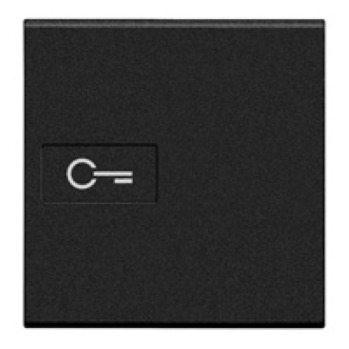 Livinglight - Tecla axial com símbolo Chave - Antracite, 2 módulos