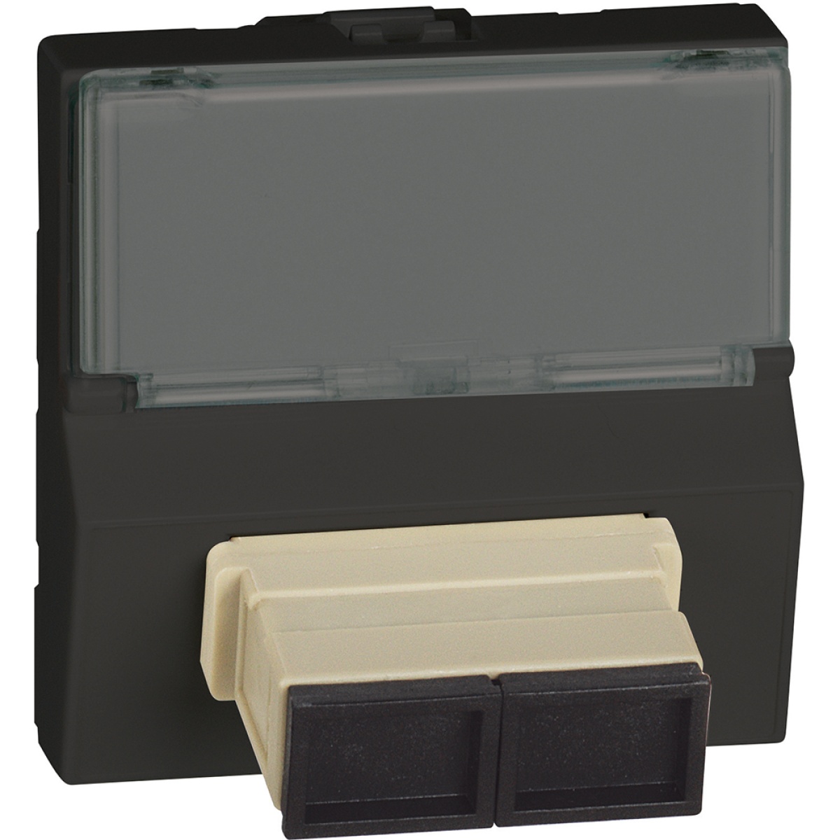 Light Now - Tomada para fibra ótica - SC - 2 módulos - Dark