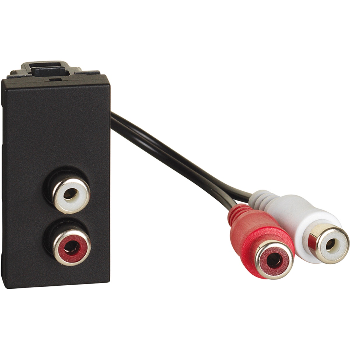 Light Now - Tomada áudio duplo RCA - 1 módulo - Dark