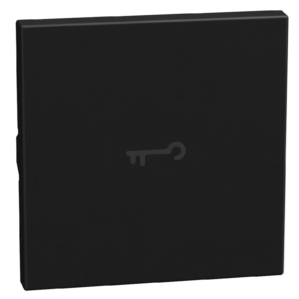 Light Now - Tecla axial com símbolo chave - 2 módulos - Dark