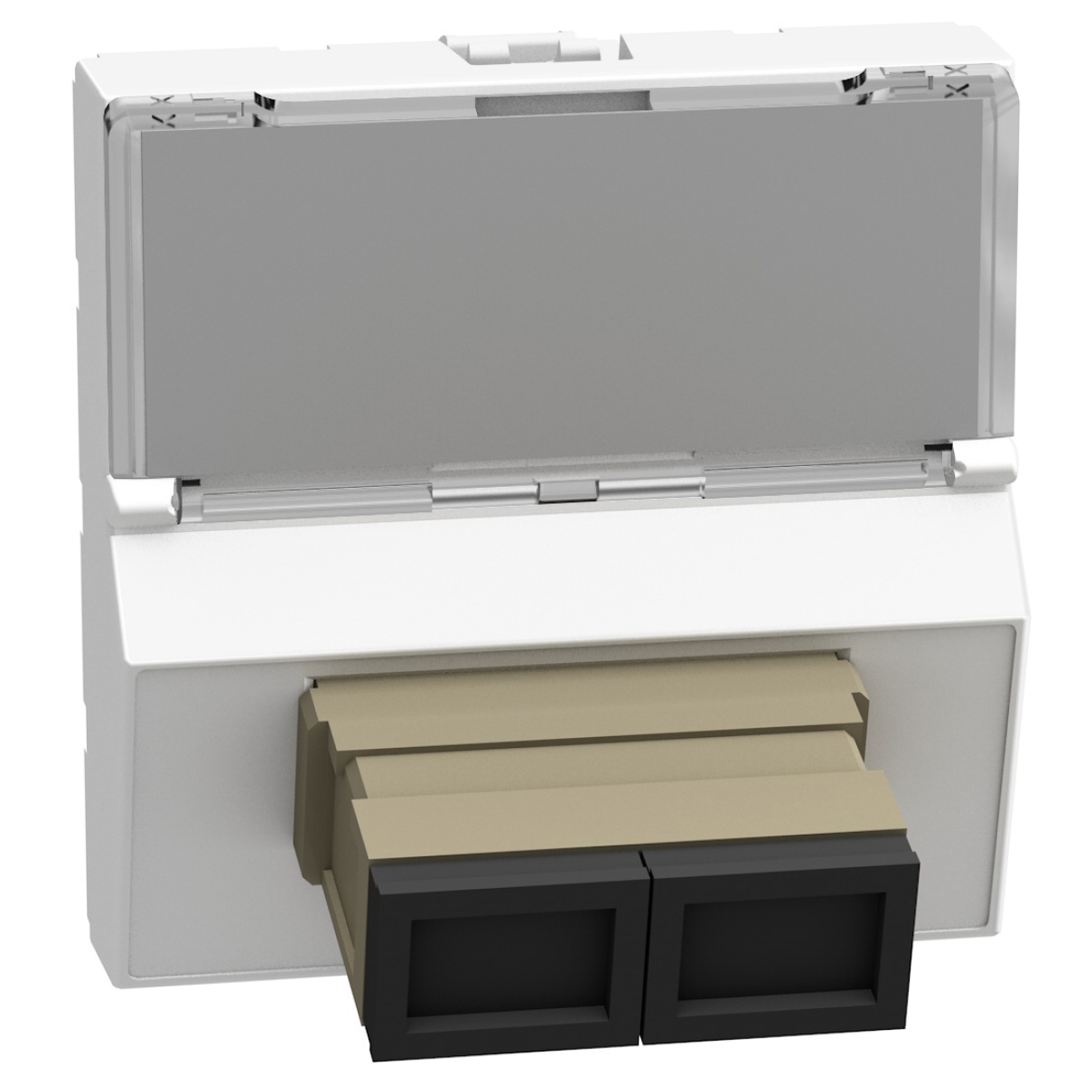 Light Now - Tomada para fibra ótica - SC - 2 módulos - White