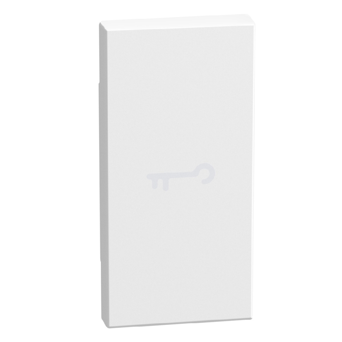 Light Now - Tecla axial com símbolo chave - 1 módulo - White