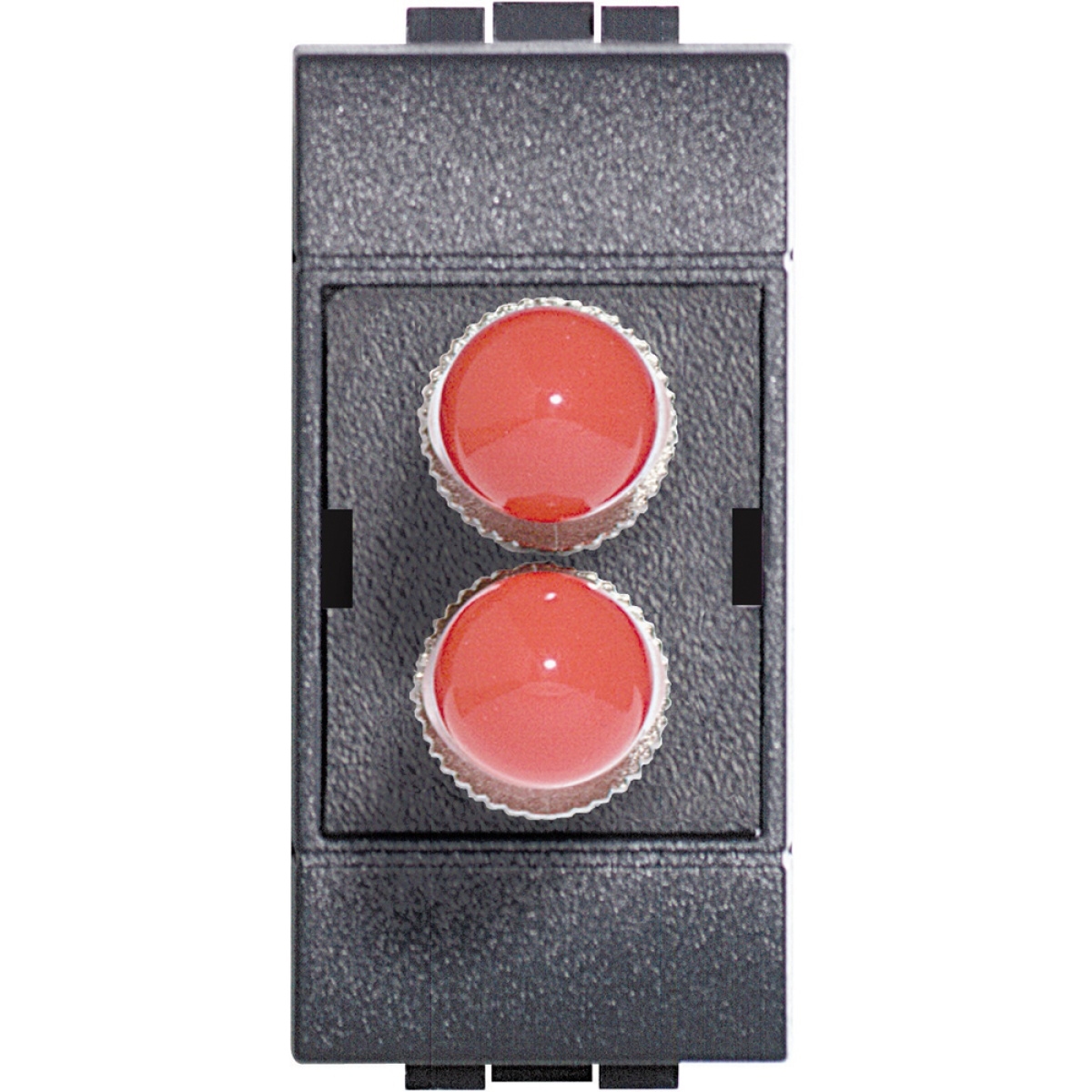 Livinglight - Conector ST para cabo fibra ótica - duplex - 1 módulo - antracite