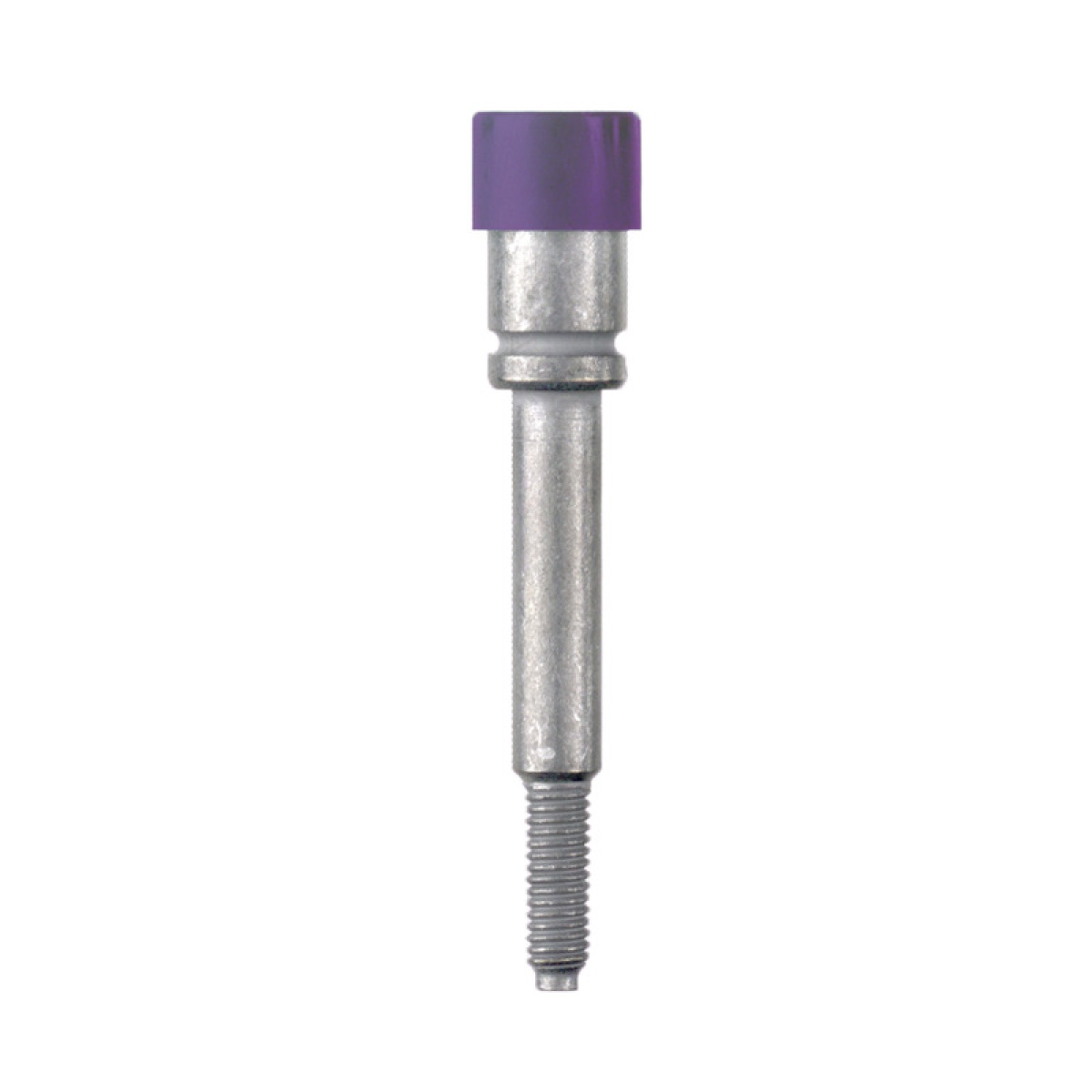 Socket terminal, Plug-in depth 10 mm, Depth 31.7 mm