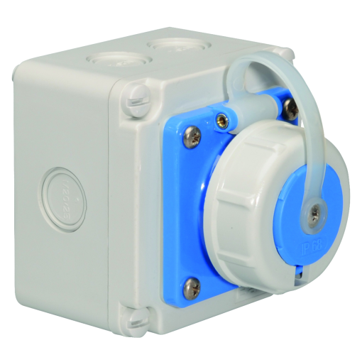Domestic wall mounting socket outlet straight 16A 3p 250V IP67