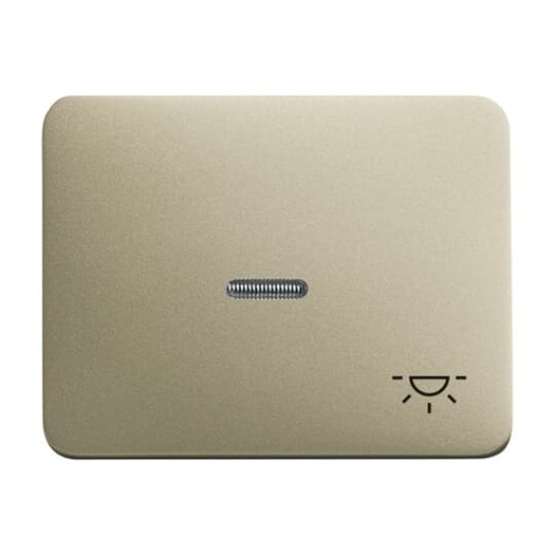 1789 LI260 Switch rocker with marking with small transparent lens