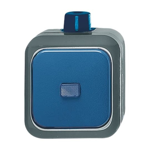Switch Twoway switch blue  BuschDuro 2000WDI