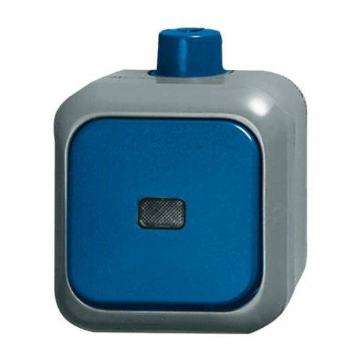 Switch Twoway switch with Neon lamp blue  BuschDuro 2000WDI