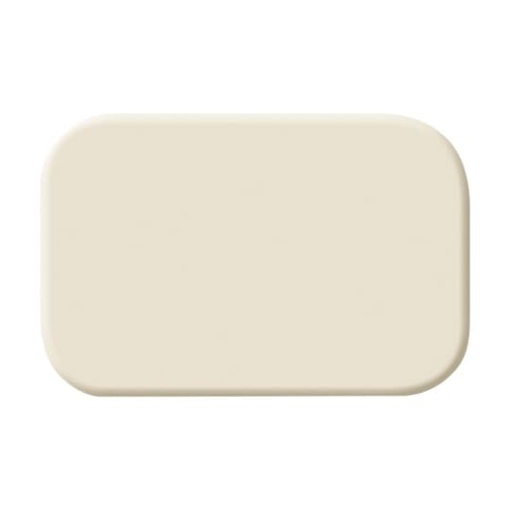 Symbol for rocker with Neutral white  BuschDuro 2000 SI